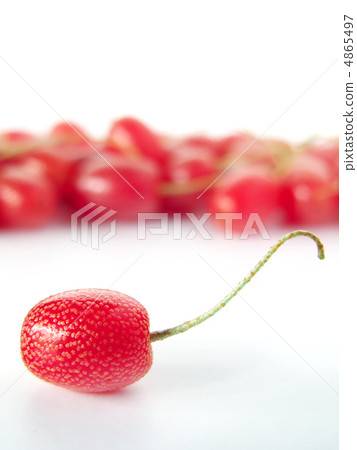 Fresh! Tawaragumi (vertical cut) Fresh! Tawaragumi (vertical cut) 4865497