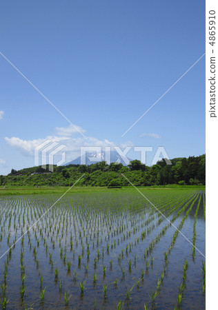 岩手山和稻田 岩手山和稻田 4865910