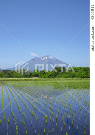 Mt. Iwate and paddy fields Mt. Iwate and paddy fields 4865911