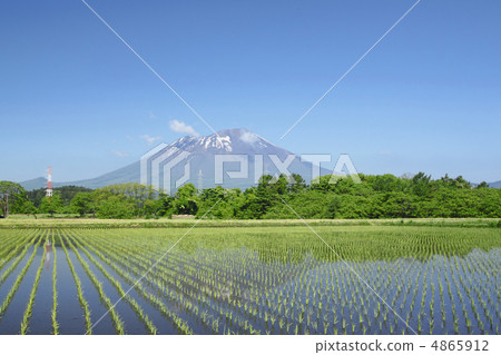 Mt. Iwate and paddy fields 4865912