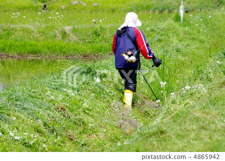 Mowed female mowing mowers 4865942