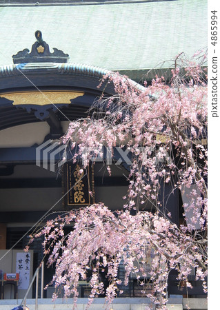 Nanzoin Nanzoin 4865994