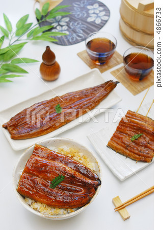 Eel dish Eel dish 4866738