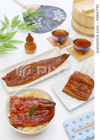 Eel dish 4866740