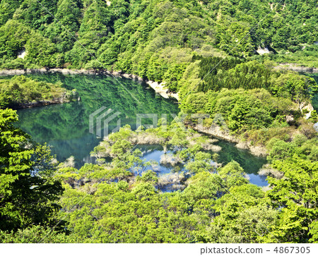 Fresh green and lake Fresh green and lake 4867305