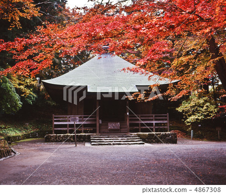 Autumn leaves and storage 4867308