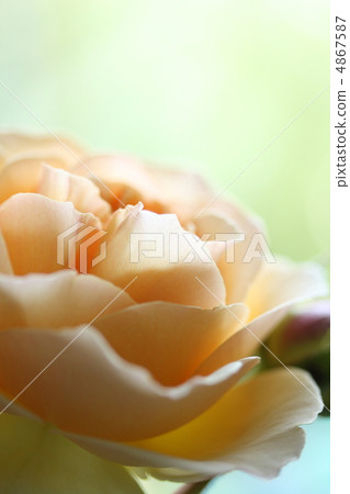 Barragene Vieve Orsi Barragene Vieve Orsi 4867587