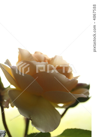 Barragene Vieve Orsi Barragene Vieve Orsi 4867588