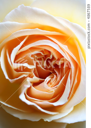 Barragene Vieve Orsi 4867589