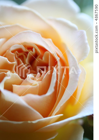 Barragene Vieve Orsi 4867590