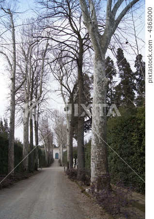 Boboli Gardens Boboli Gardens 4868000