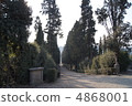 Boboli Gardens 4868001