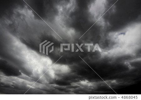 一隻蜘蛛 一隻蜘蛛 4868045