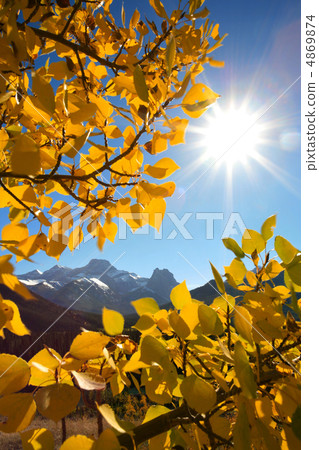 Autumn leaves with mountain 4869874