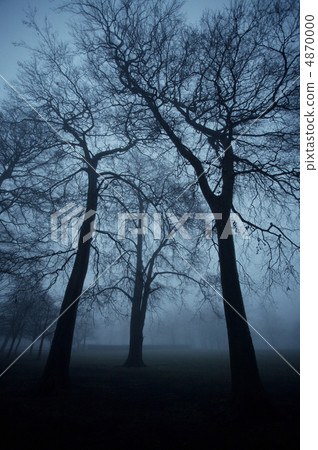 Trees in the park 1 4870000