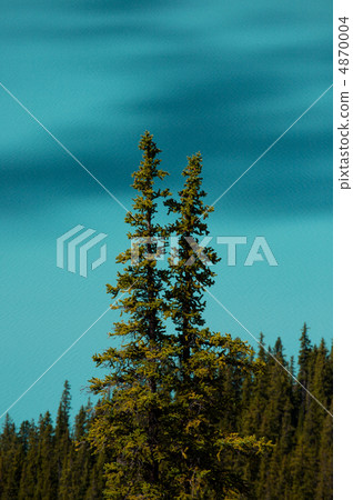 Trees and alpine lake 4870004