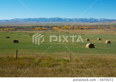 Hayfield and Rocky Mountains Hayfield and Rocky Mountains 4870072