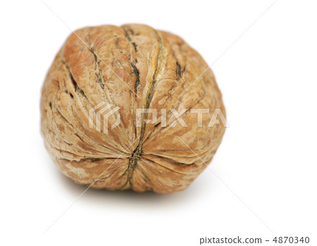 walnut walnut 4870340