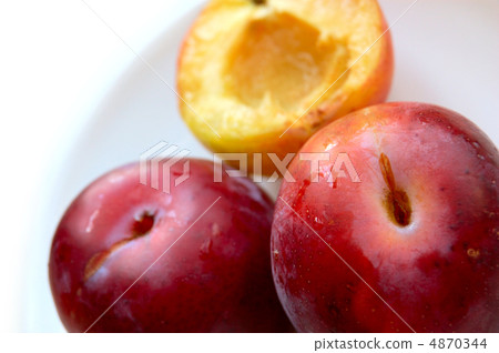 plum plum 4870344