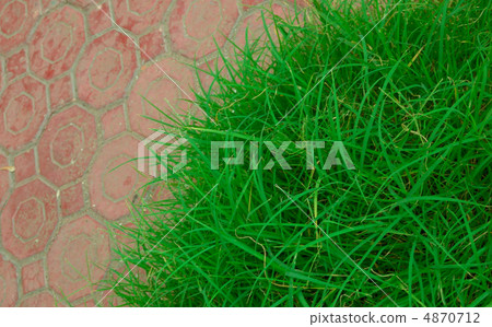 grass and slabs grass and slabs 4870712