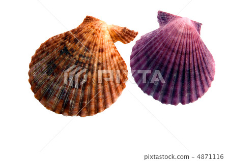 caribbean, bank, shores 4871116
