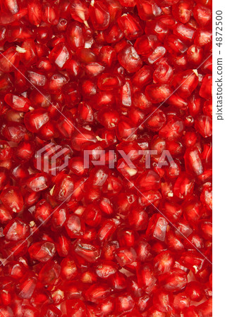 Background of red seeds Background of red seeds 4872500