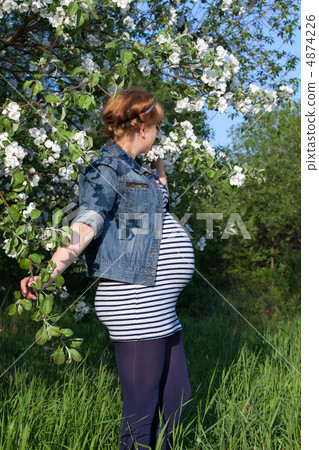 Pregnant woman standing apple tree Pregnant woman standing apple tree 4874226