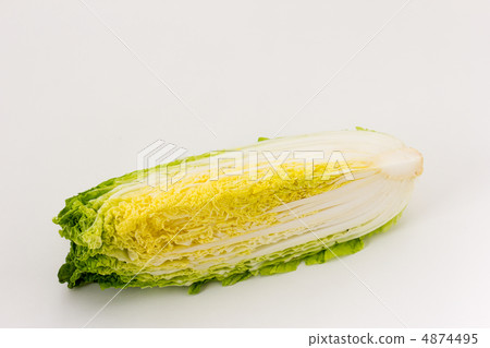 大白菜 大白菜 4874495