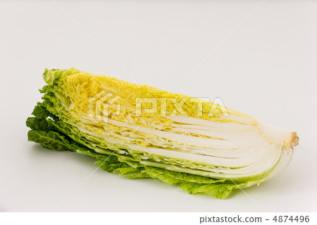 大白菜 4874496