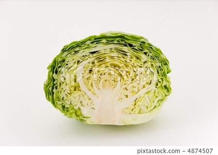 捲心菜 捲心菜 4874507