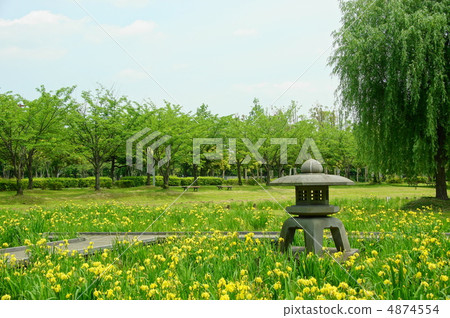 5月，Kishowub和Iridaceae 14組出生地 4874554