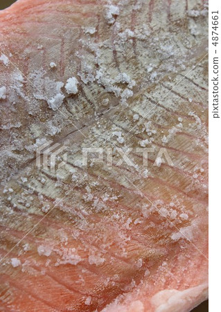 King salmon King salmon 4874661