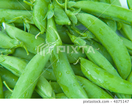 Snap peas made at home garden Snap peas made at home garden 4875147