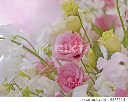藝術花 藝術花 4875514