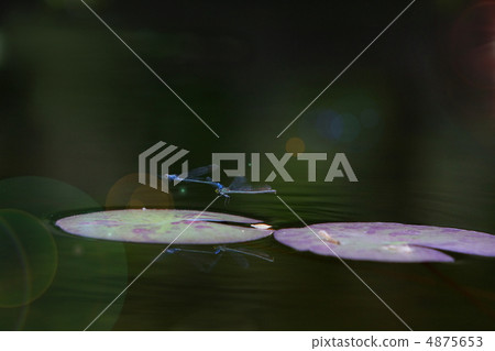 Flight of Ittombo Flight of Ittombo 4875653