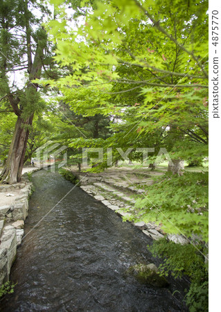 Kamigamo Shrine Mikawa 4875770
