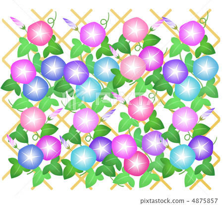 Green curtain (morning glory) Green curtain (morning glory) 4875857