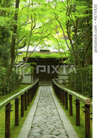 長滿青苔的石燈籠 4875920