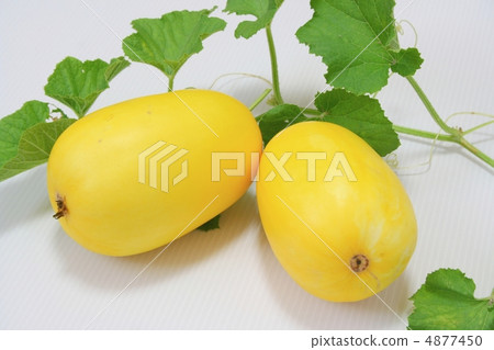 Kin Macawawli 4877450