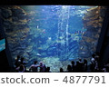 Large tank 4877791