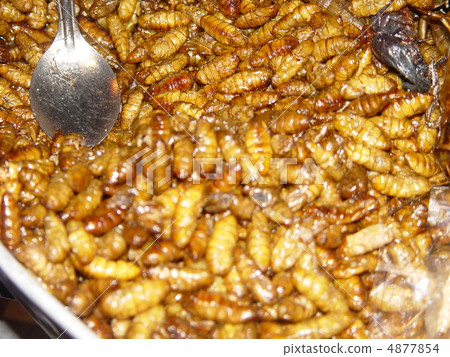 食用昆蟲(曼谷/帕蓬/泰國王國) 食用昆蟲(曼谷/帕蓬/泰國王國) 4877854