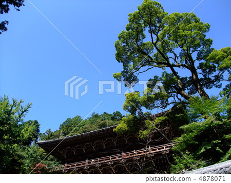 Muneiri temple Muneiri temple 4878071