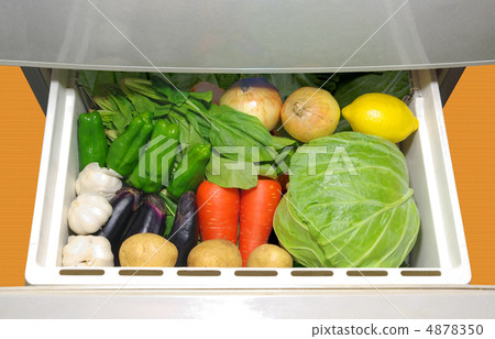 Vegetables in a vegetable room in a refrigerator Vegetables in a vegetable room in a refrigerator 4878350