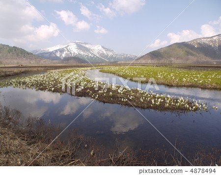 Oze Nakadayo的Mizubasho Oze Nakadayo的Mizubasho 4878494