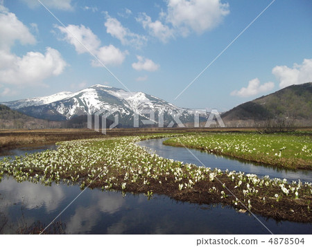 Mizubasho of Oze Nakadayo Mizubasho of Oze Nakadayo 4878504