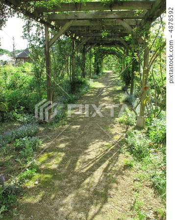 Green Corridor 4878592