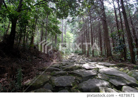 Kumano Kodo Ise Road 4878671