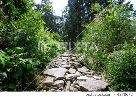 Kumano Kodo Ise Road 4878672