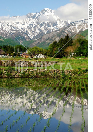 Mountains and rice fields Mountains and rice fields 4880009