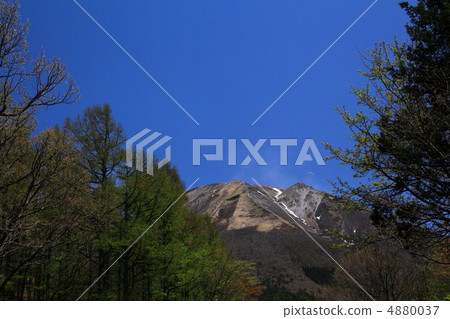 20120428 Oyama 1 4880037